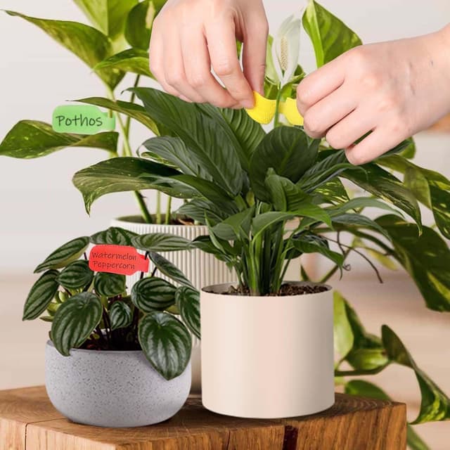 Detalle de Farnirvana set di 56 etichette per cavi multicolori in nylon (riutilizzabili e scrivibili)