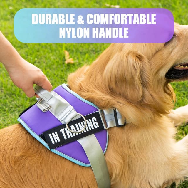 Detalle 2 de 3 Ring No Pull Dog Harness with Reflective Vest, Adjustable Straps and 3 Leash Clips