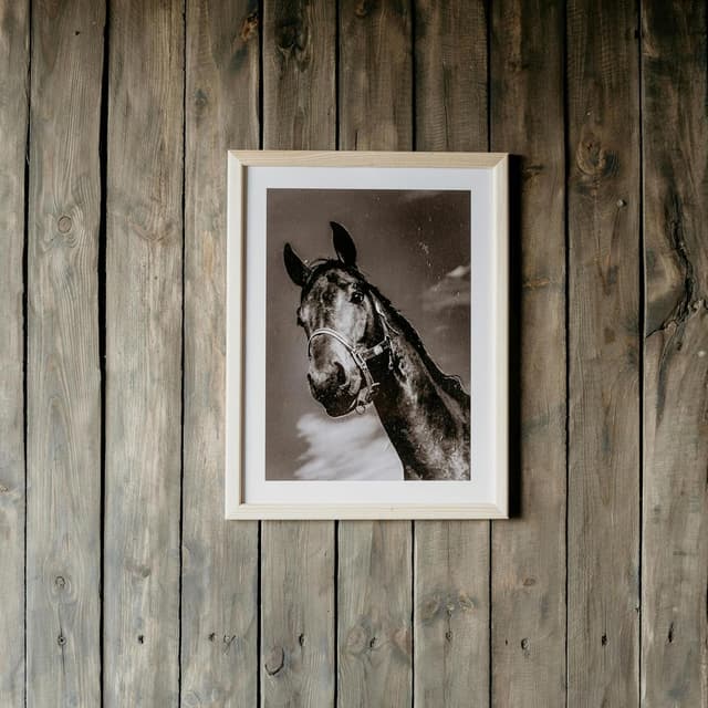 Thumbnail 6 de Universal frame hanger set, 8 picture hooks