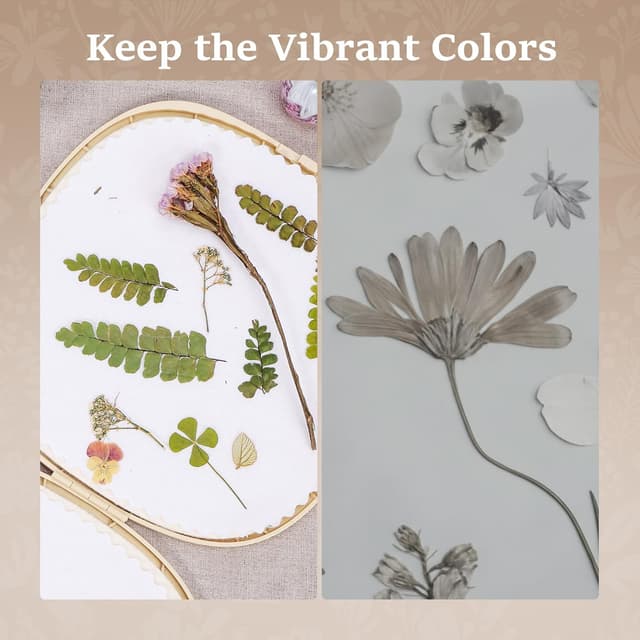 Detalle de Aboofx Mikrowellen-Blumenpresse (22,9 x 22,9 cm) – Schnell-Trocknung für Blumen, Kräuter & Blätter