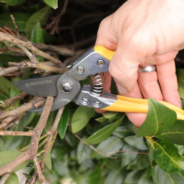 Thumbnail 6 de GRÜNTEK Forbici Potatura 200 mm