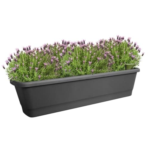 Thumbnail 7 de Elho Noa Balcony Trough XL jardinera 100%