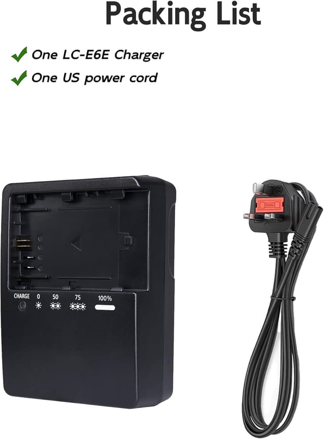 Detalle 2 de LP-E6 charger 8.4V for Canon EOS