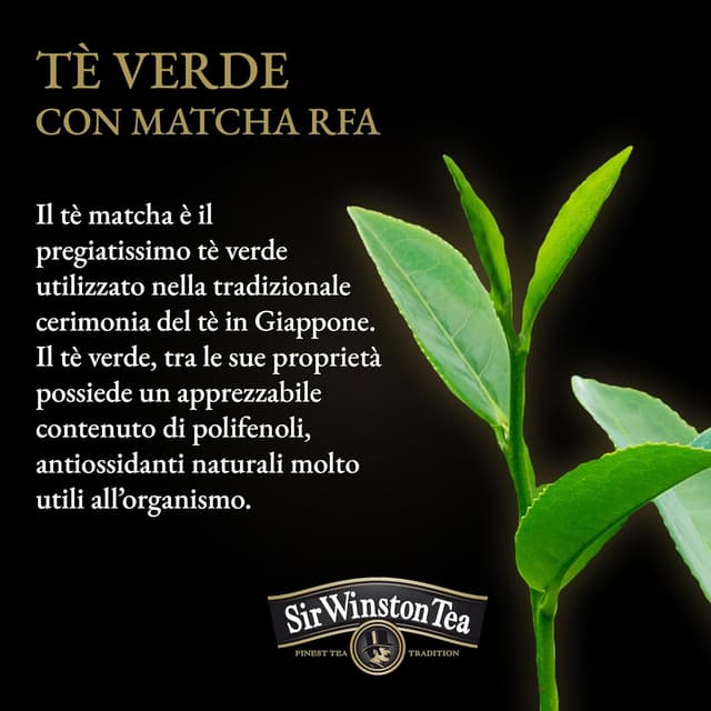 Detalle de Sir Winston Tea Tè Verde Matcha con 60 filtri (3 confezioni da 20) – senza lattosio, glutine e allergeni, vegan