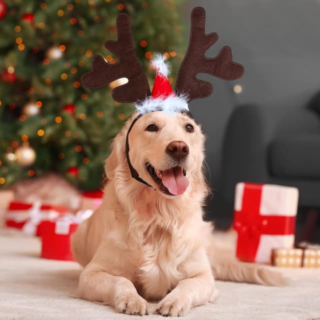 Thumbnail 5 de Naler Christmas Reindeer Antlers Headband for Pets ๐