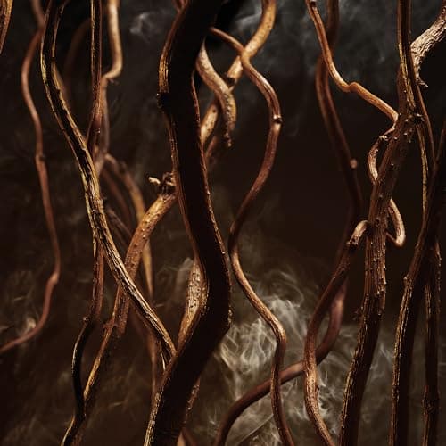 Thumbnail 4 de BOSS BOTTLED ELIXIR 50 ml — perfume masculino amaderado