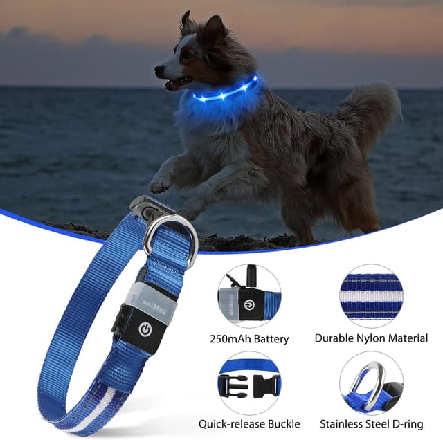 Detalle 2 de MASBRILL Light Up Dog Collar with USB Rechargeable LED Lights (3 Modes, Waterproof, Adjustable)