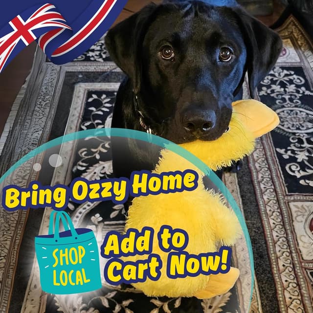 Thumbnail 6 de Minimal Stuffing Ozzy the Duck squeaky & crinkle plush dog toy (gift box, yellow)