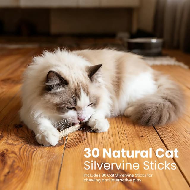 Thumbnail 6 de Katzenspielzeug-Set mit Katzenminze: Katzenspielzeug Kissen & Matatabi-Sticks (37-teilig)