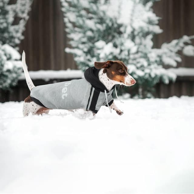 Thumbnail 6 de LeLePet Dachshund Hoodie Grey L – warm cotton fleece dog sweatshirt with hoodie and lead hole
