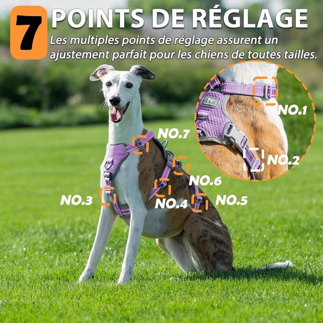 Thumbnail 6 de Huntboo Harnais anti-fugue réfléchissant pour chien (lavande pourpre, S) – anti-traction réglable