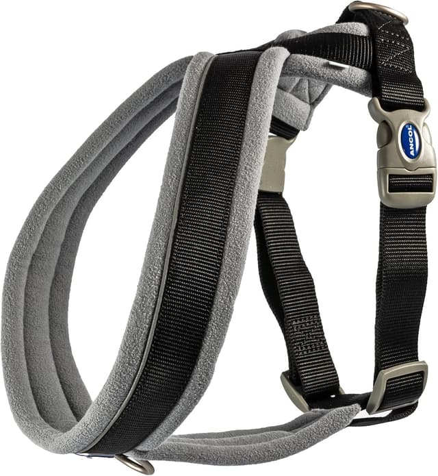 Detalle de Ancol Viva Padded Harness (Black, Size S 36–42cm) with reflective trim