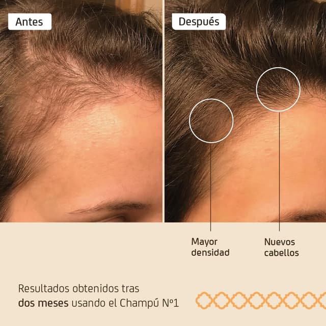 Thumbnail 2 de Nuggela & Sulé Champú Nº1 Fuerza Volumen