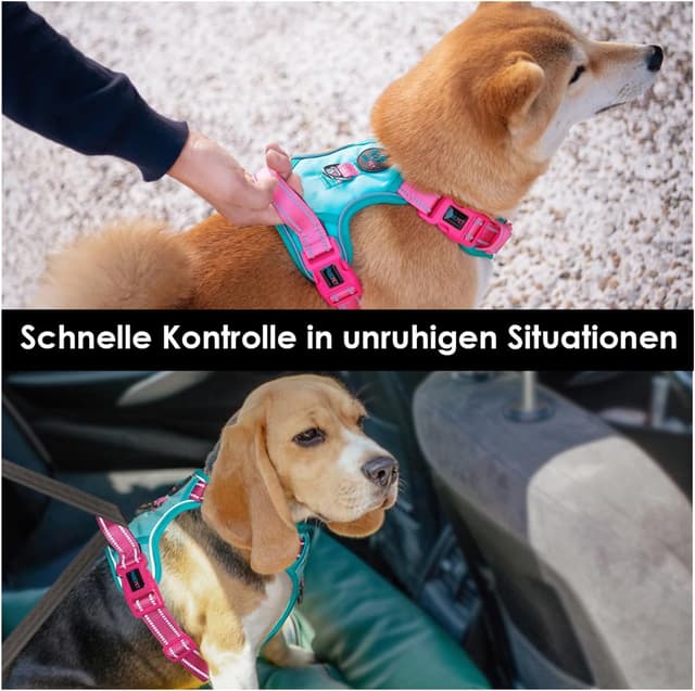 Detalle 1 de PHOEPET Anti-Zug Hundegeschirr mit verstellbaren Riemen, reflektierendem Sicherheitsdesign (XL, minzgrüne Basis & pinke Träger)
