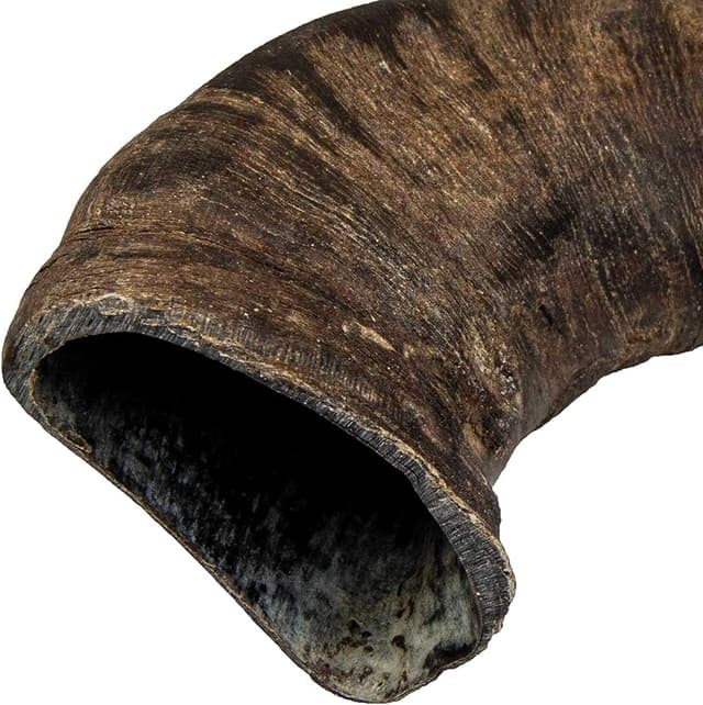 Thumbnail 2 de Trixie Masticable Búfalo Antlers para Perros