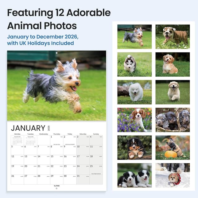Thumbnail 1 de SUNEE Puppies Calendar 2026 A4 to A3 wall calendar 📅