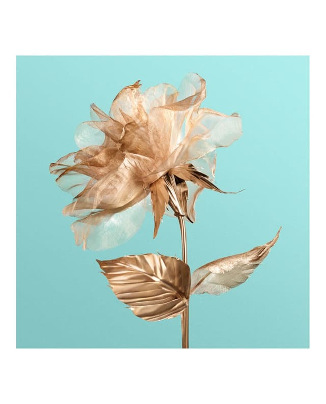 Thumbnail 4 de Tiffany & Co Rose Gold Eau de Parfum 50 ml