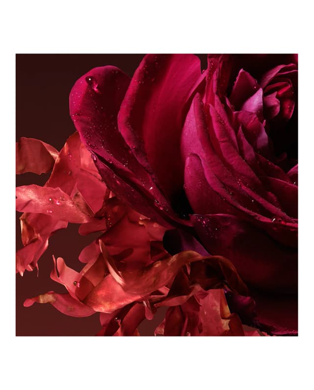 Thumbnail 4 de Gucci The Alchemist's Garden Rosa Incandescente 📷