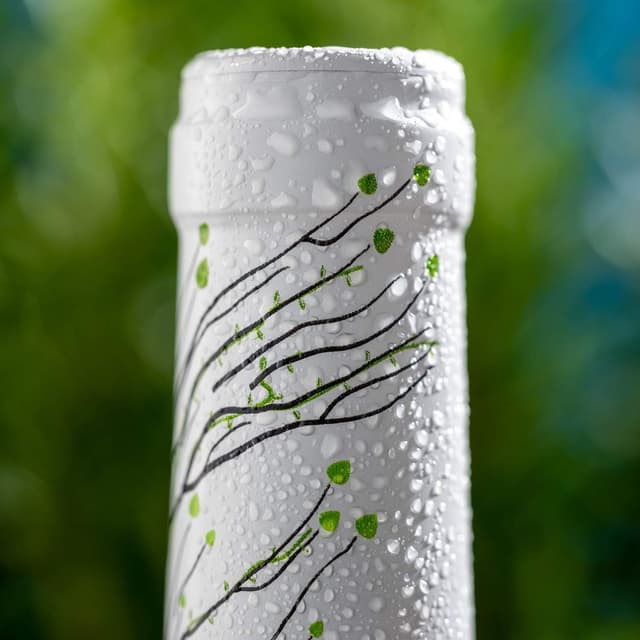 Thumbnail 6 de Marques De Riscal Vino Blanco Sauvignon Blanc Orgánico 🍇 2x750ml