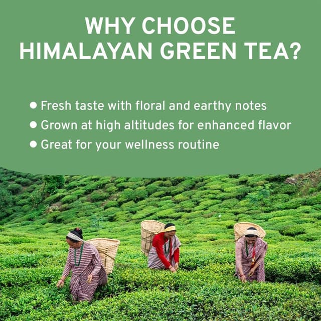 Thumbnail 5 de VAHDAM Té Verde Himalaya 🌿 100g, Natural y Aromático para Infusión