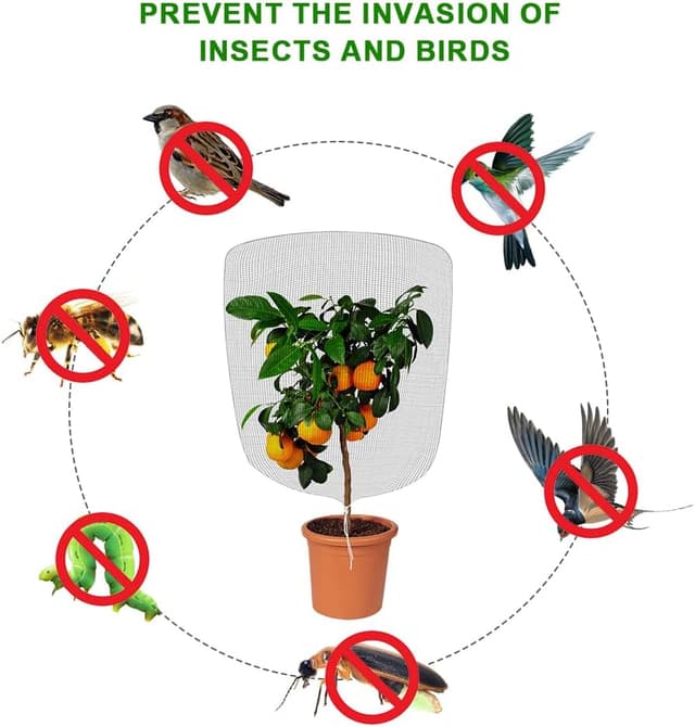 Thumbnail 5 de OFFCUP Rete Anti Insetti 1,8 x 1,8 m