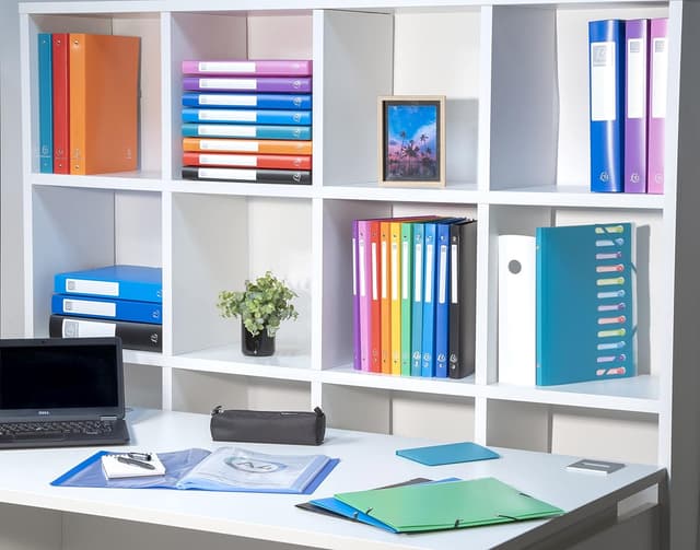 Detalle de Exacompta Réf. 8881E Protège-documents OPAK noir pour format A4 – 80 pochettes cristal lisse