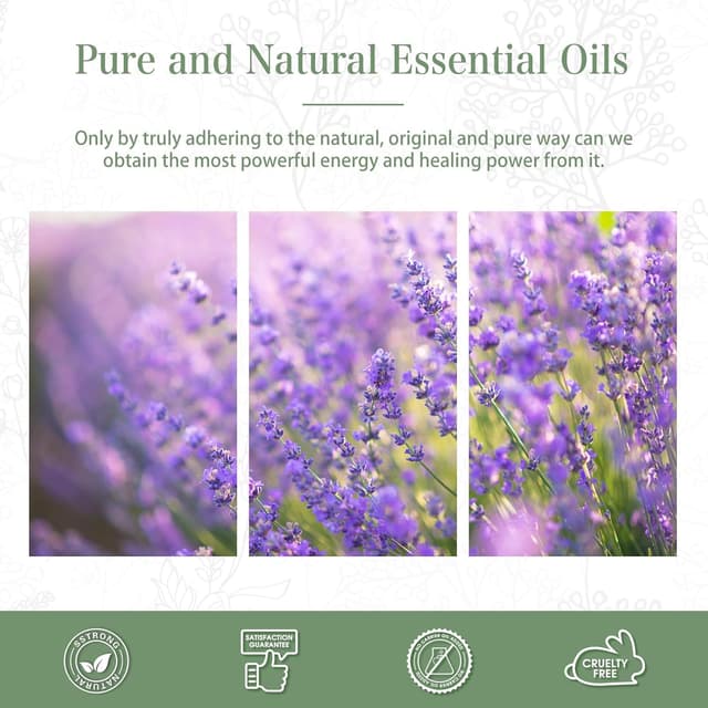 Detalle de PHATOIL Lavender Essential Oil 100ml (100% Natural) – for diffusers, aromatherapy & DIY