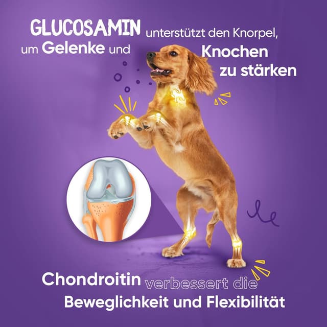 Detalle 2 de Glucosamin Chondroitin Komplex 180 Kapseln