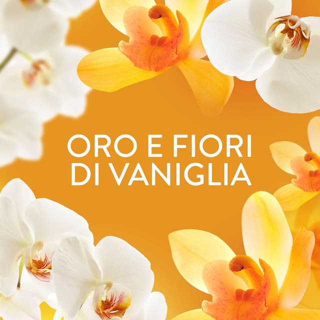 Thumbnail 4 de Lenor Ammorbidente concentrato 440 lavaggi Oro e Vaniglia