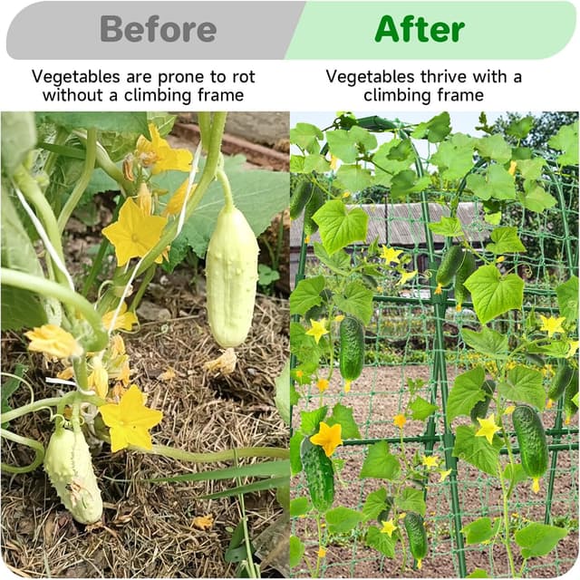 Thumbnail 6 de Cucumber Trellis 80 x 120 cm U-shape