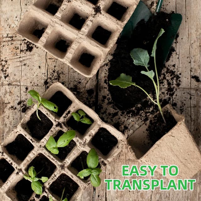 Detalle de Chovbe 240 biodegradable plant pots & seed trays kit with labels