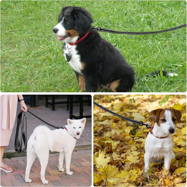 Thumbnail 5 de Demigreat Schleppleine für Hunde 20 m