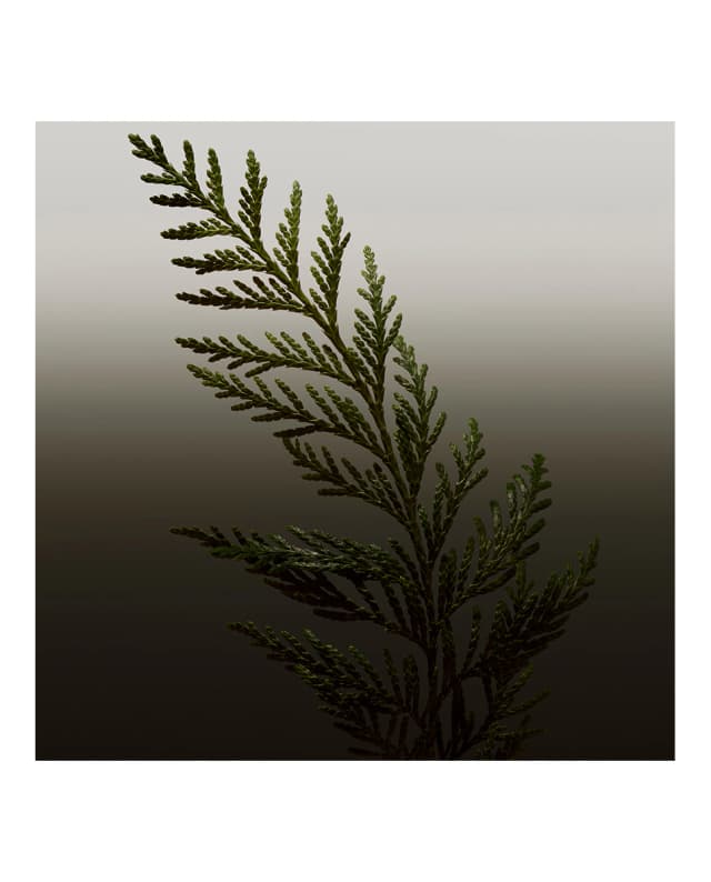 Thumbnail 3 de Burberry Eau de Parfum Hero 100 ml 🧴