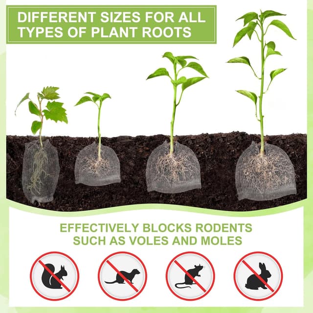 Detalle de efuturetime EFUTURETIME Wurzelschutzkörbe aus Edelstahl (8 Stück) gegen Wühlmäuse und Nagetiere