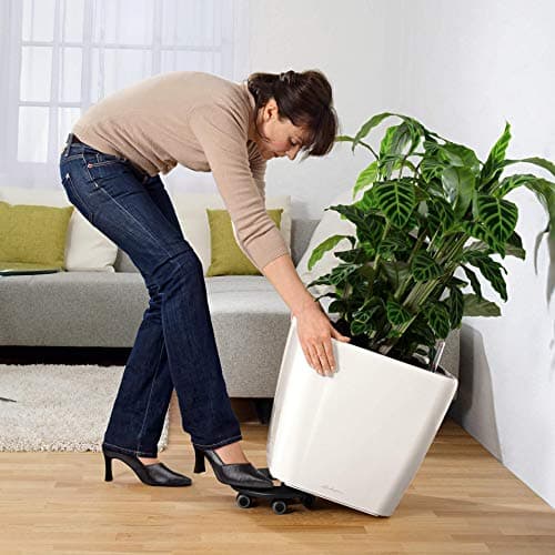 Thumbnail 4 de LECHUZA Base rodante Classico Quadro 50 — 6 unidades