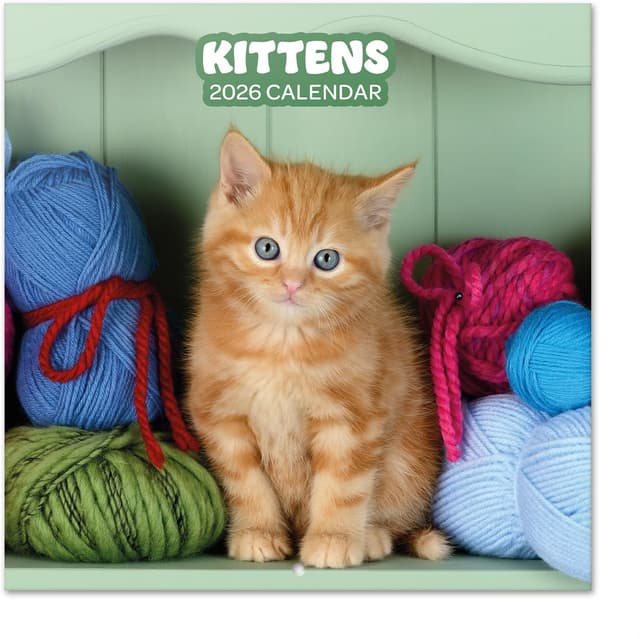 Thumbnail 4 de Grupo Erik Calendario muro 2026 Cuccioli 30x30 cm 📅