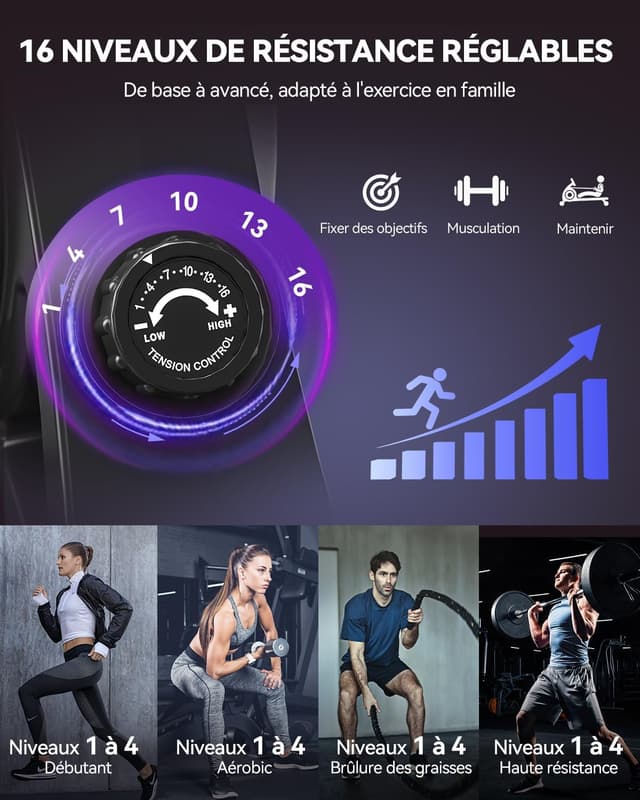 Thumbnail 4 de DMASUN Rameur Musculation 16 Niveaux Magnétique