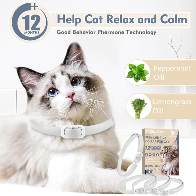 Detalle de Collier anti-puces pour chats réglable et imperméable (48 cm) – protection jusqu’à 12 mois, huiles essentielles