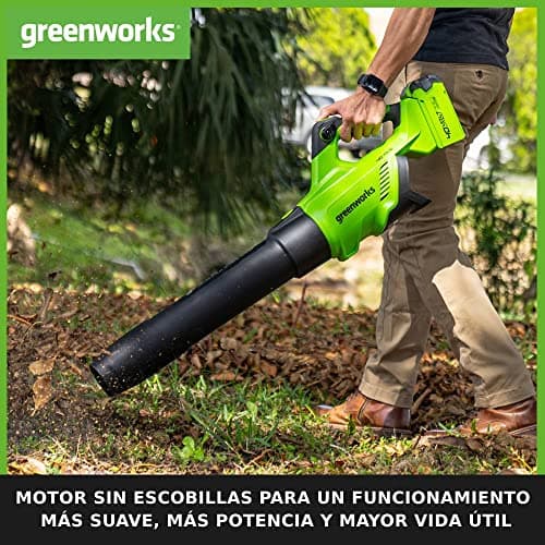 Detalle de Greenworks GD40ABK2X Soplador de Hojas a Batería ⚡ with 2 Batteries