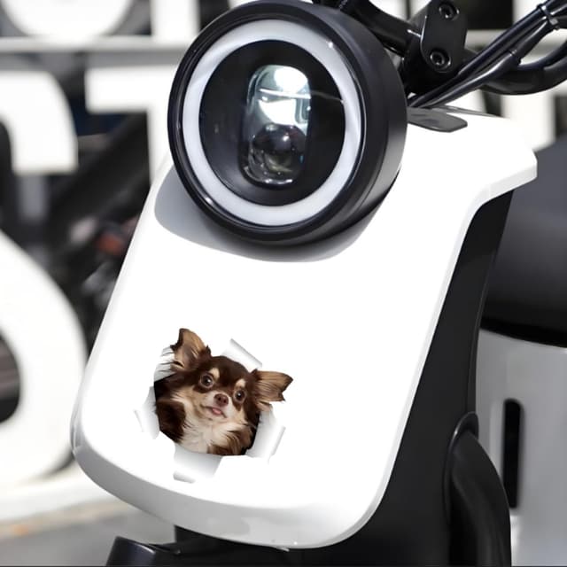 Thumbnail 4 de Chihuahua Aufkleber 18cm wasserdicht 3D Effekt