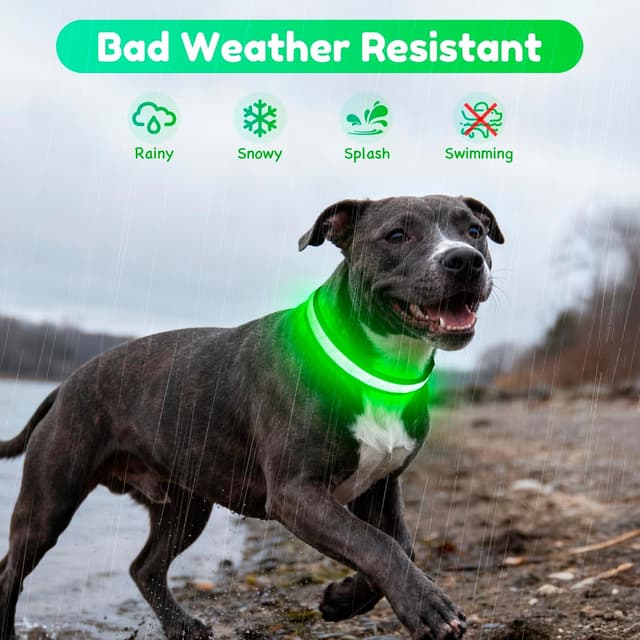 Detalle 2 de Sugiifamy Light Up Dog Collar (Green, M) with USB Rechargeable LED Tube and Reflective Stitches