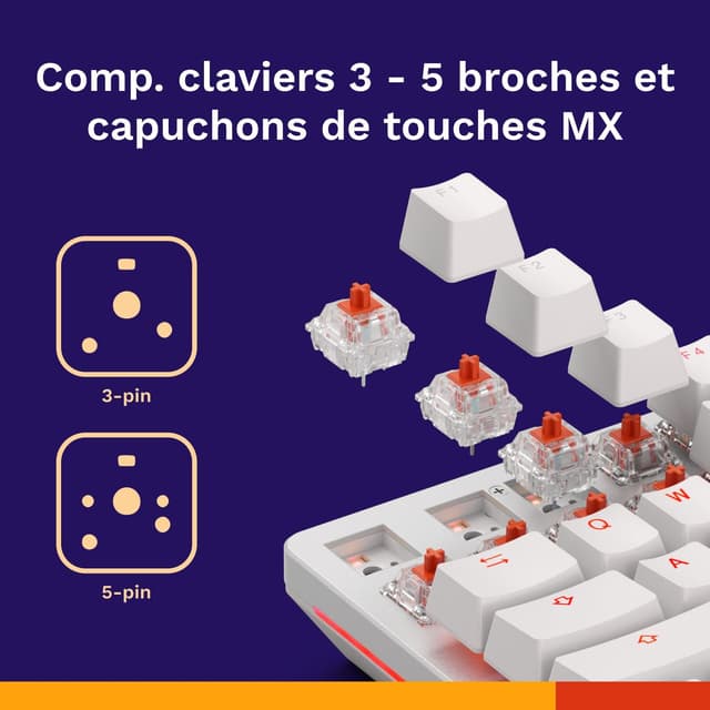 Thumbnail 4 de Glorious Gaming Fox 110 switches linéaires ⌨