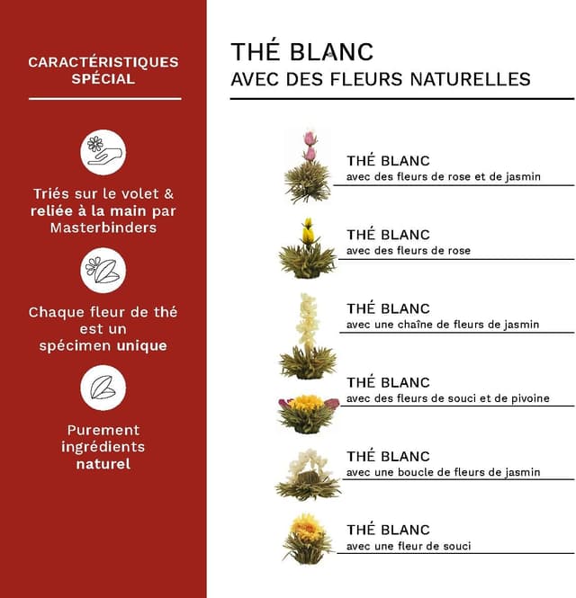 Thumbnail 1 de Creano Coffret Cadeau Fleurs de Thé 12 pièces