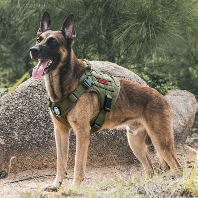 Thumbnail 6 de OneTigris Tactical Dog Harness Vest (No-Pull) with Hook & Loop Panels, Adjustable Vest Harness – S, Green