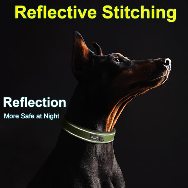 Detalle 2 de Fida Padded Dog Collar with Metal Belt Buckle and Double-Layer Webbing (Green)