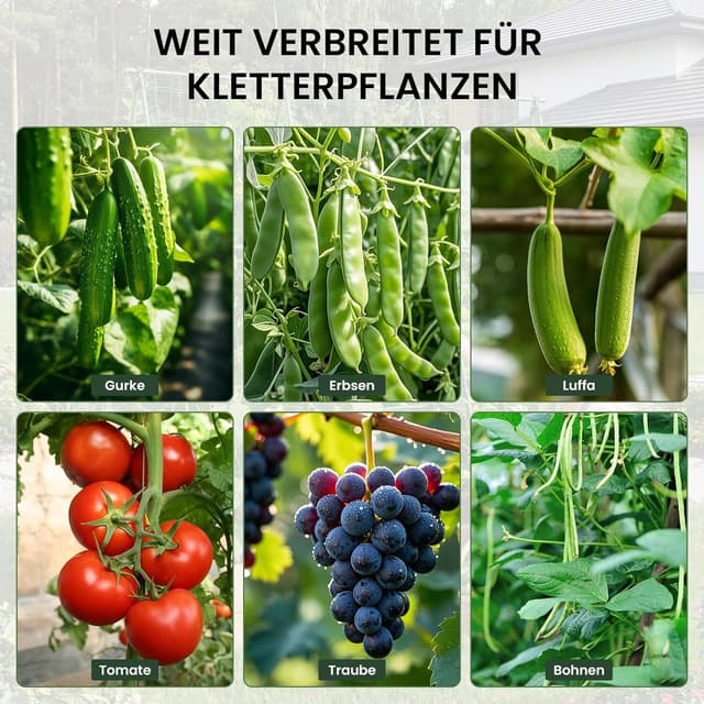 Detalle 2 de ZIKEBTUY Rankhilfe für Gurken 120 x 120 cm – Metall-Rankbogen mit Gartenklammern und gedrehtem Riemen