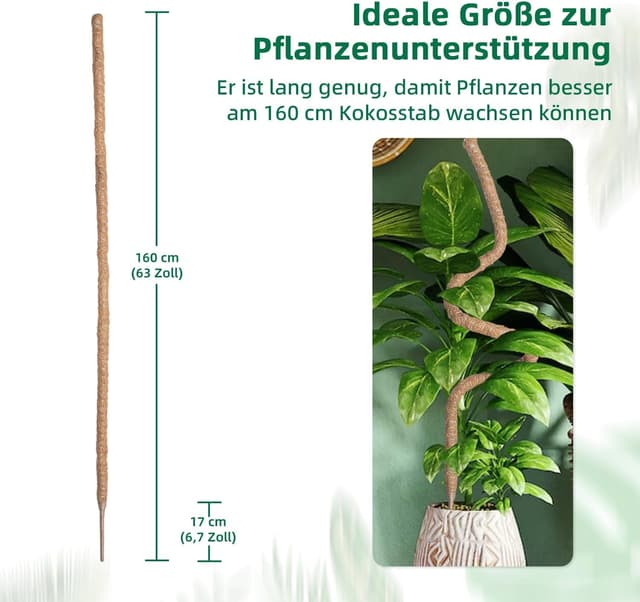 Thumbnail 6 de Mcbazel 160 cm Monstera Rankhilfe aus Kokosfaser mit Zubehör – Pflanzenstütze für Kletterpflanzen im Innenbereich