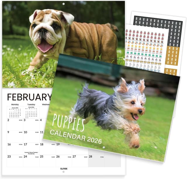 Imagen de SUNEE Puppies Calendar 2026 A4 to A3 wall calendar 📅 en OfertitasTOP