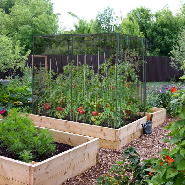 Thumbnail 6 de Ohuhu Large Fruit Cage Plant Cages for Garden (2 x 1.2 x 1.6 m) with Zippered Door and HDPE Netting