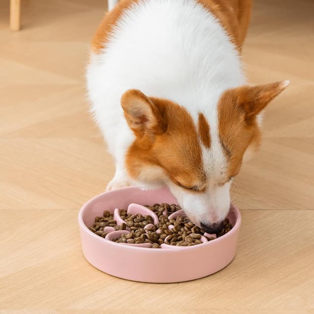 Thumbnail 6 de Hundenapf Keramik von vancasso (MSGW) Slow-Feeder: Puzzle-Blumenlabyrinth in Pink, 1,5 Tassen